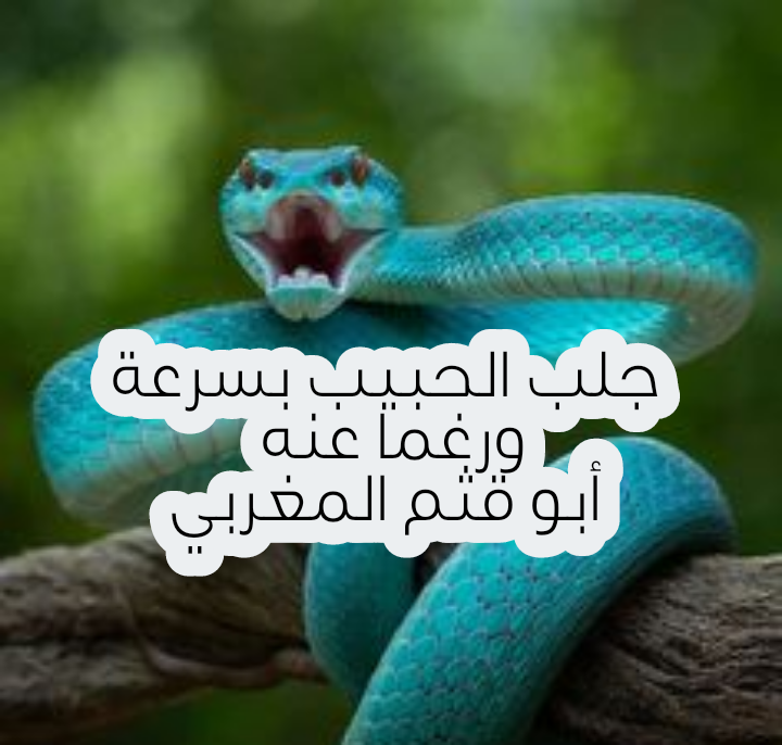 ما هي صحة طرق جلب الحبيب بسرعة البرق رغما عنه